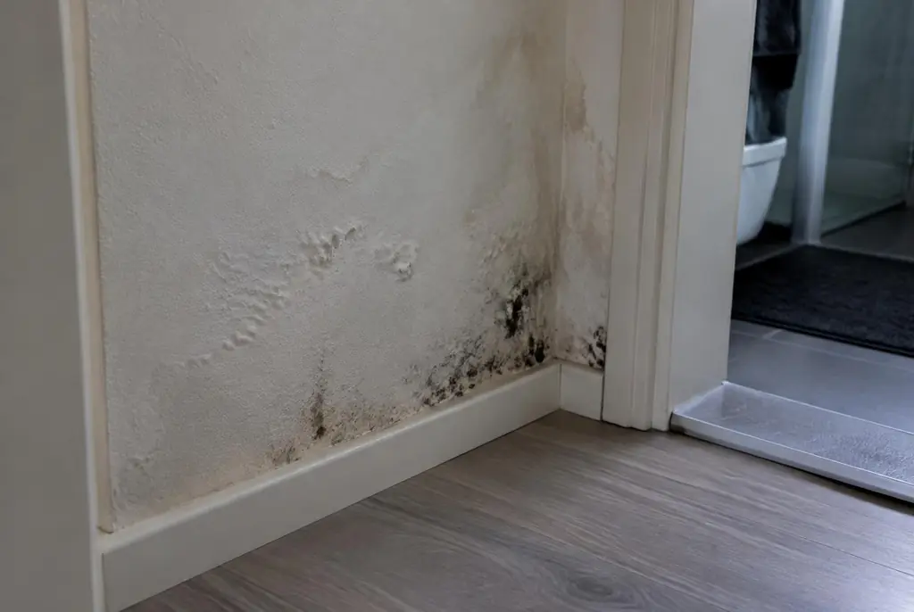 Lekdetectie Hilversum – vochtplek met schimmel op een muur